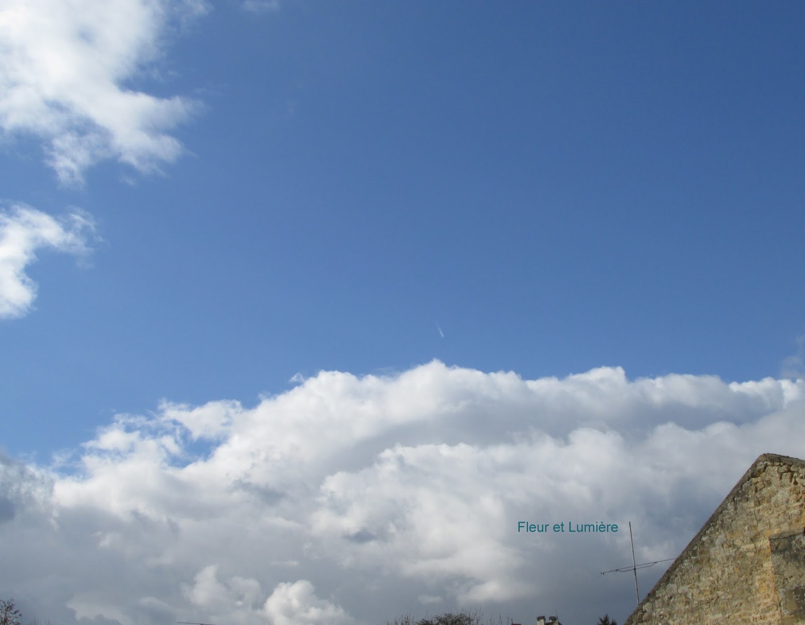 Fleur Et Lumiere Le Ciel Bleu De L Autre Jour Me Manque Il Fait Tout Gris Chez Nous On Se Souvient De La Semaine Derniere Ensemble