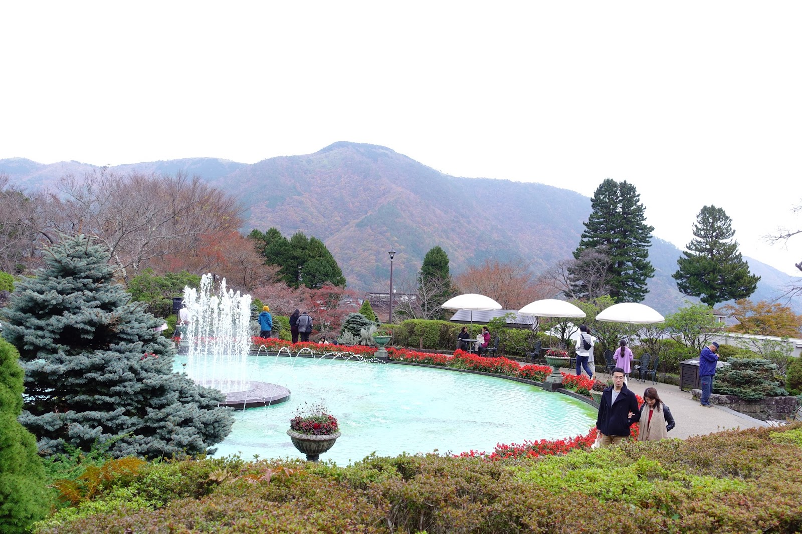 Evalee On The Earth 箱根周遊day 1 浪漫特快 小田原城 強羅公園