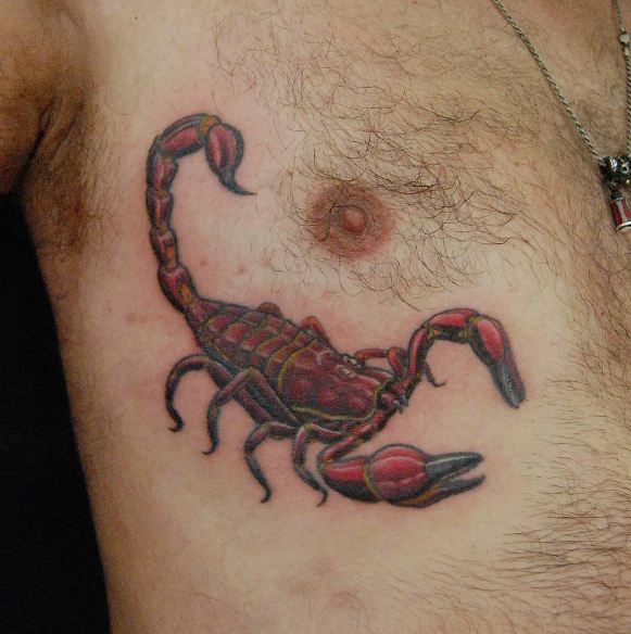 Wildlife Tattoos