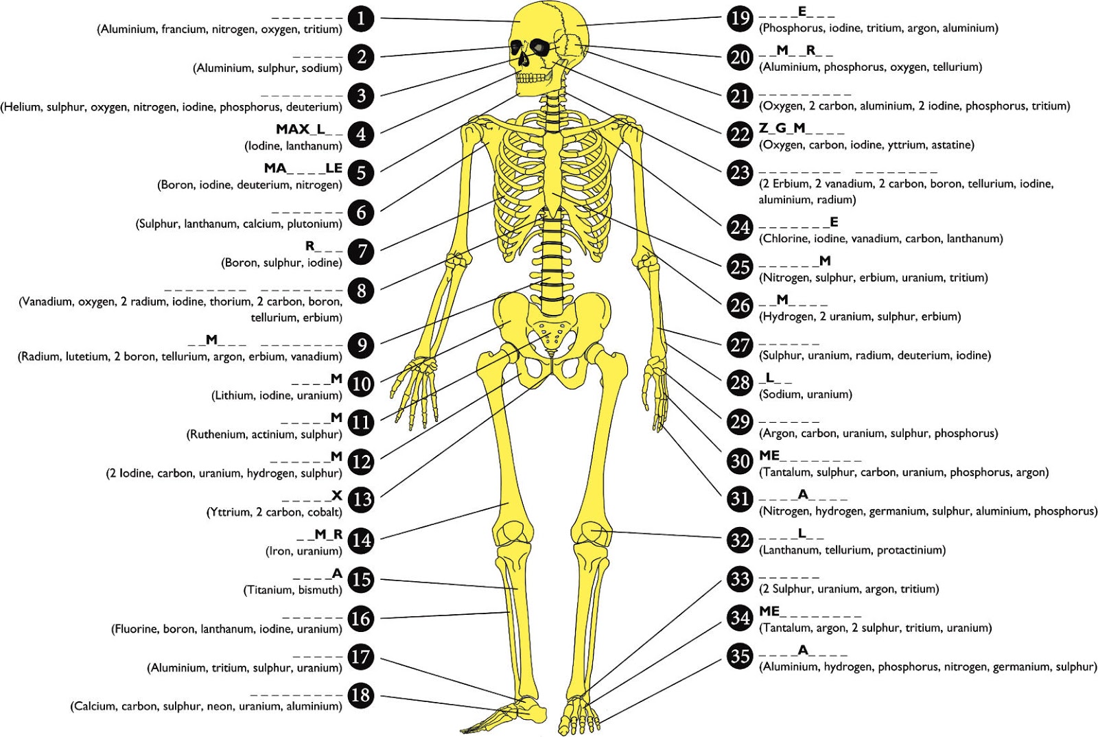 Bones русский язык. Строение скелета на латыни. Скелет человека с названием костей. Название костей скелета на латыни.