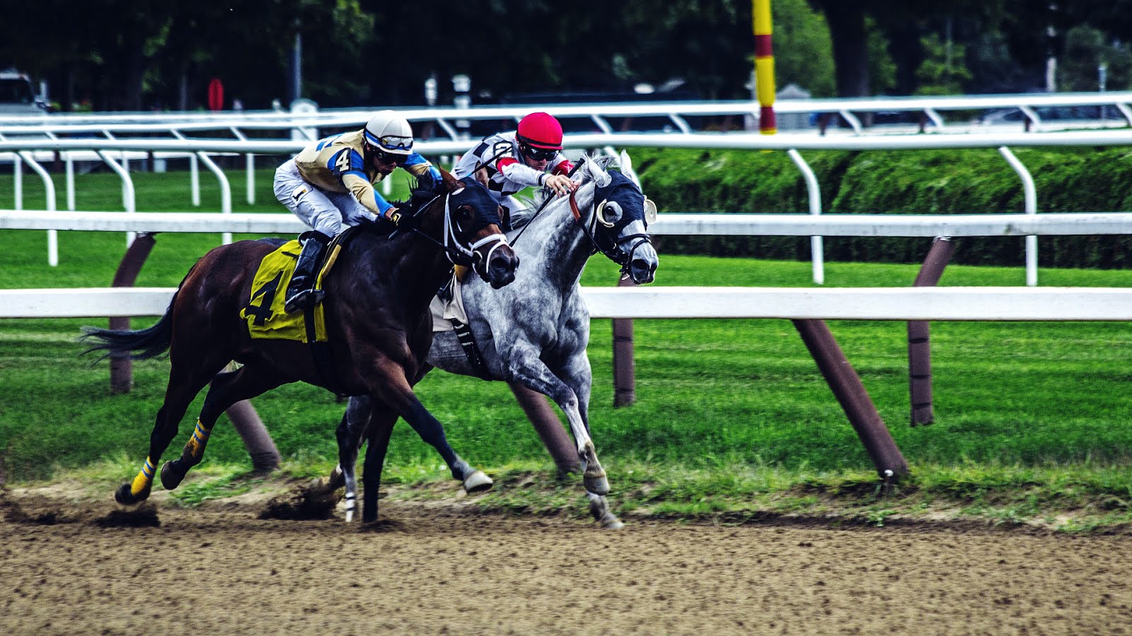 Machine Learning Horse Racing Learning Choices