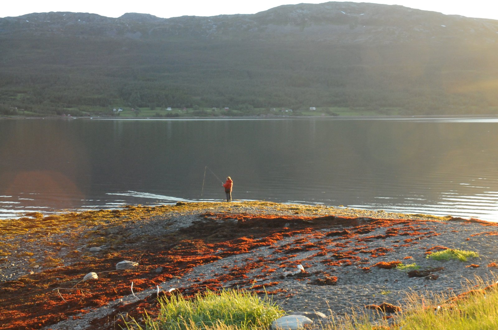 Sandnes Fjord Camping / Straumfjordnes i Nordreisa, Troms