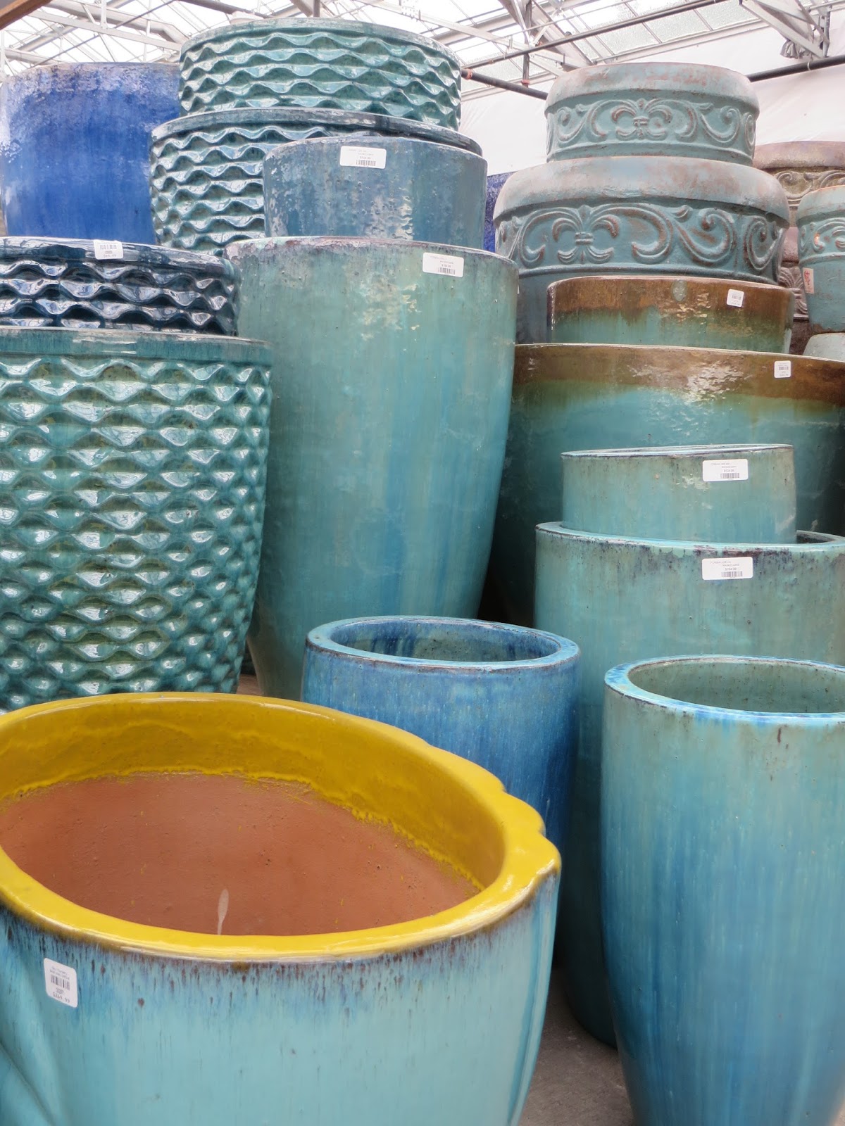 Nursery Visit Sky Nursery Seattle