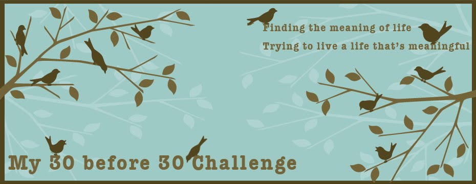 My 30 before 30 Challenge