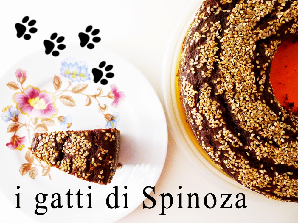 i gatti di Spinoza Kakaolu, Cikolata Parcali, Susamli Kara Kek "Torta