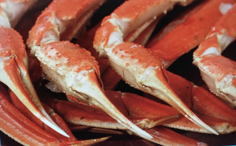 Crab Meat Supplier, Crab Canning Factory, Crab Farming, Crab Meat From