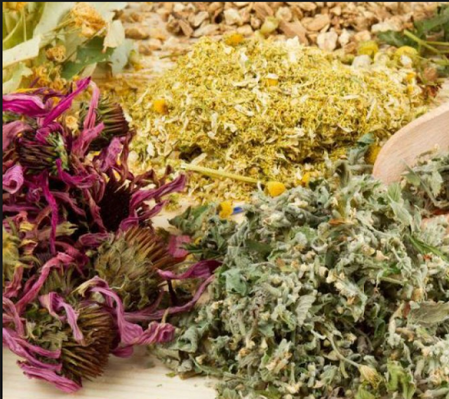 Лечебные травы египта Лечебные травы египта