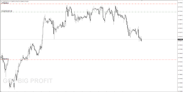 Forex Crazy Profit + Bimbingan