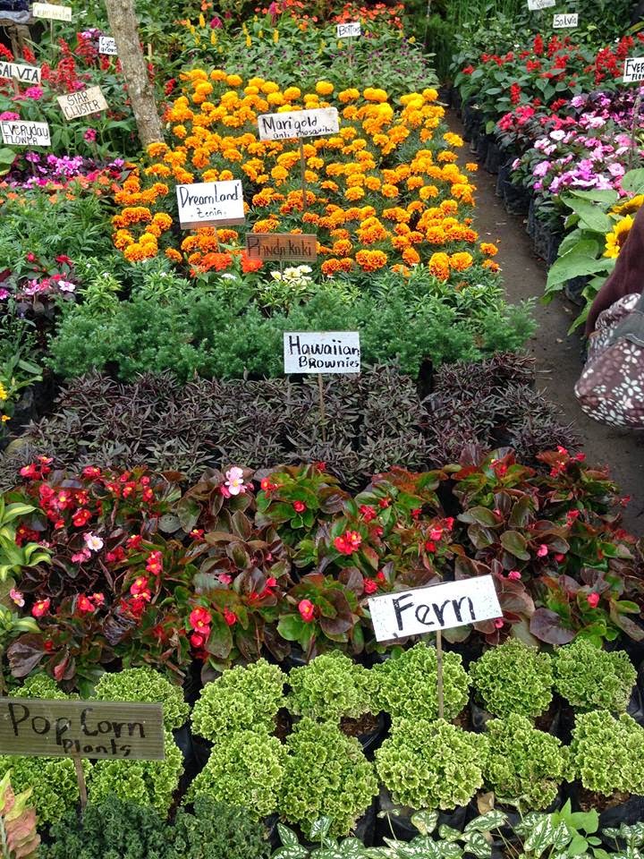 You are who you think you should be. Go live your life. ) Mahogany