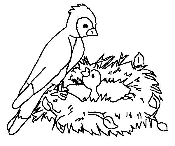 Kids Page: Birds Coloring Pages | Printable Birds Coloring Picture
