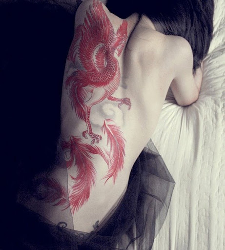 Uma Phoenix tatuagens para a garota de volta