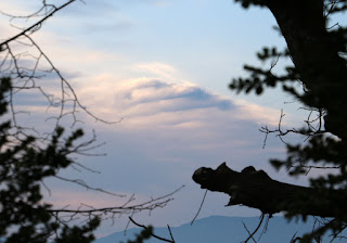 Clouds seen past the oak tree Clouds seen past the oak tree