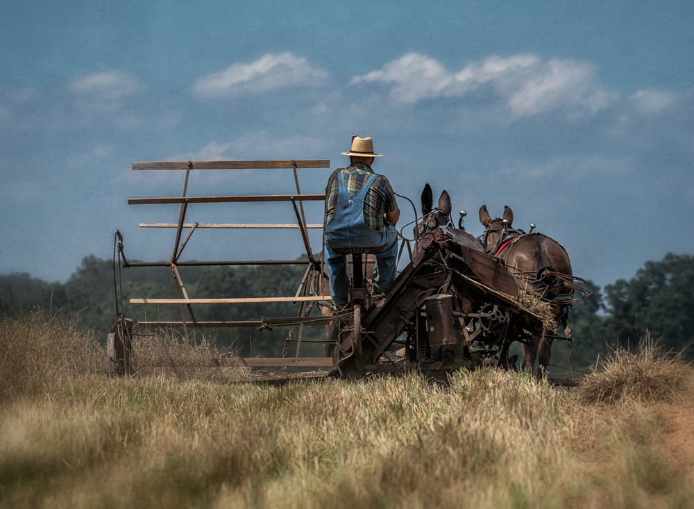 Dan Routh Photography McCormick Reaper
