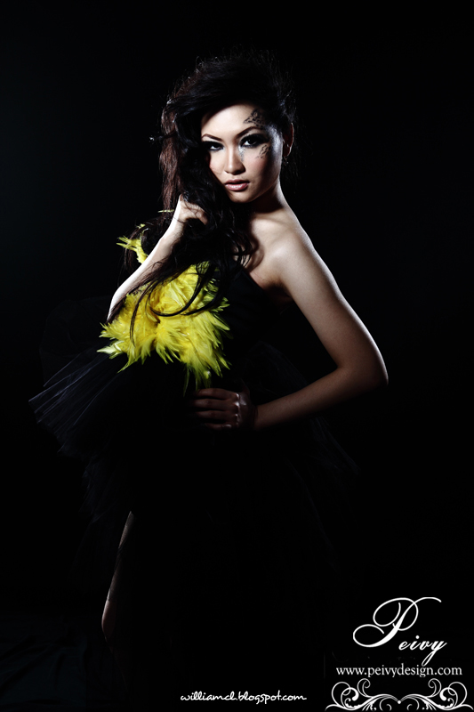 Photoshoot Black Gown - Peivy Design