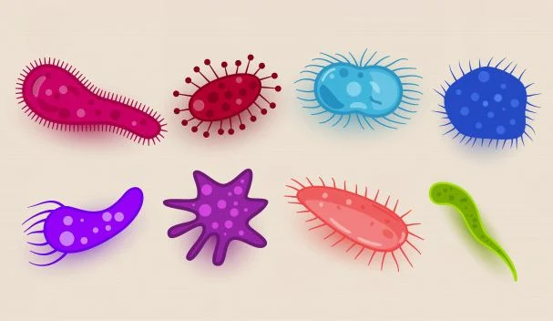 Bakteri Penyebab Demam dan Penyakit Lainnya