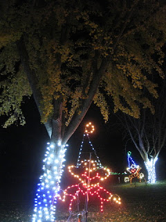 Light display: Elves among the gingko trees, Vasona Lake County Park, Los Gatos, California