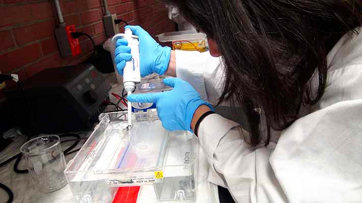 Proyecto Codigo De Barras De La Vida bwp-mex.blogspot.com