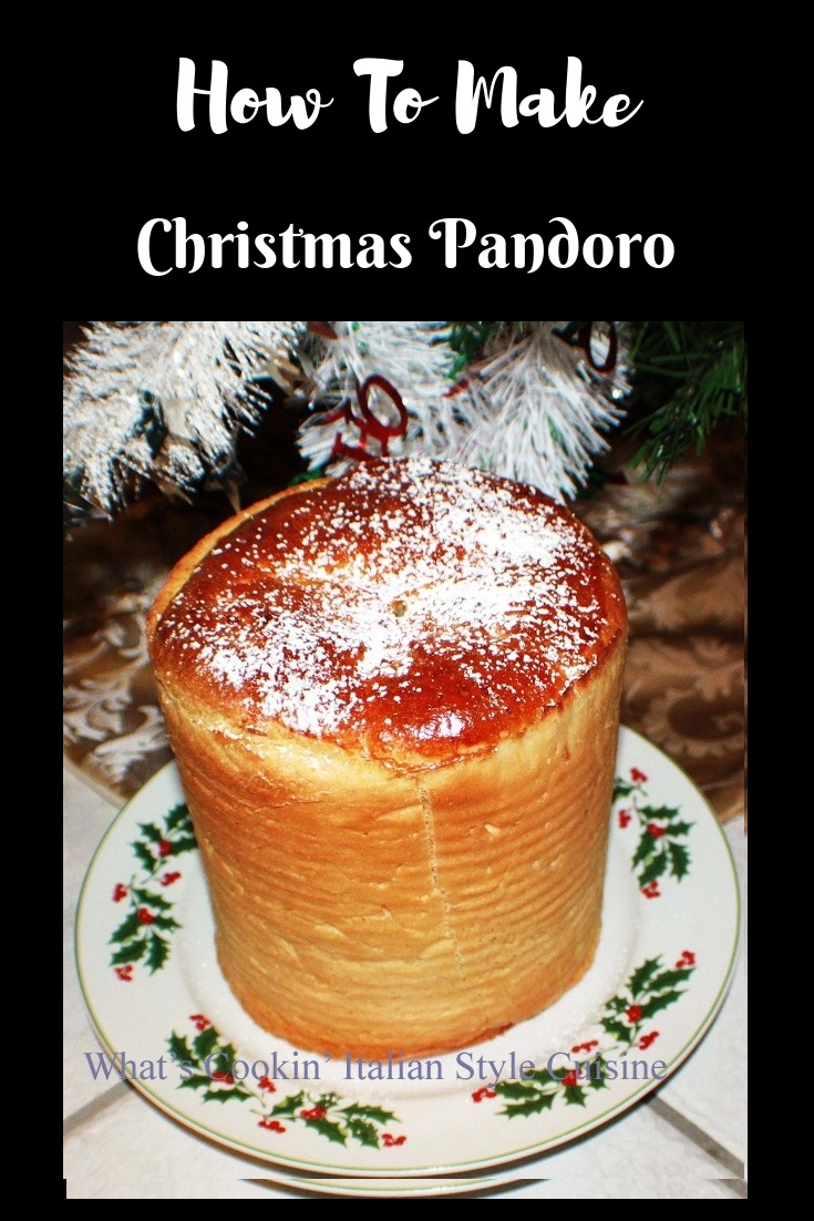 this is Pandoro made in a coffee can to look like a star and baked on a plate cooling with powdered sugar on top