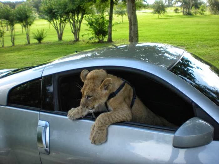 Picdump-Ritemail_030.jpg