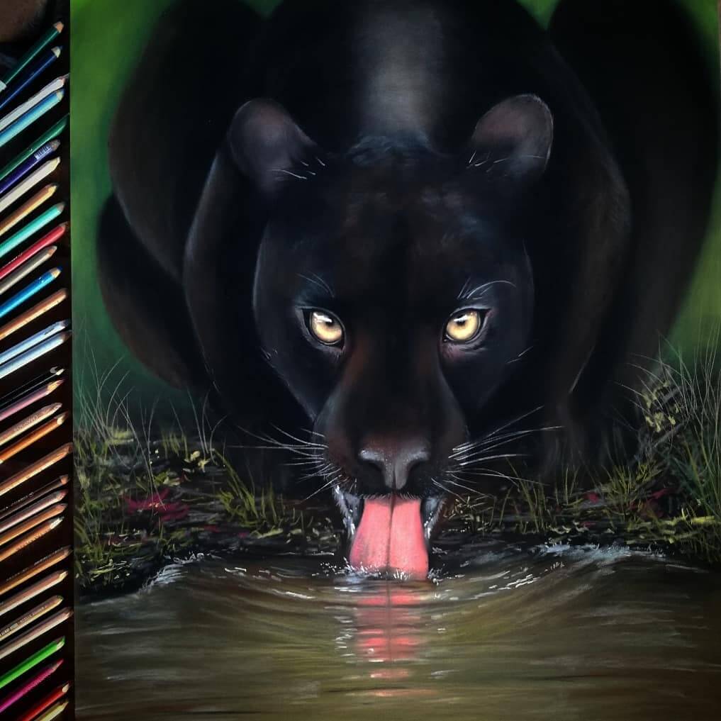 06-Black-Panther-Majla-Colorful-Precise-and-Realistic-Animal-Drawings-www-designstack-co