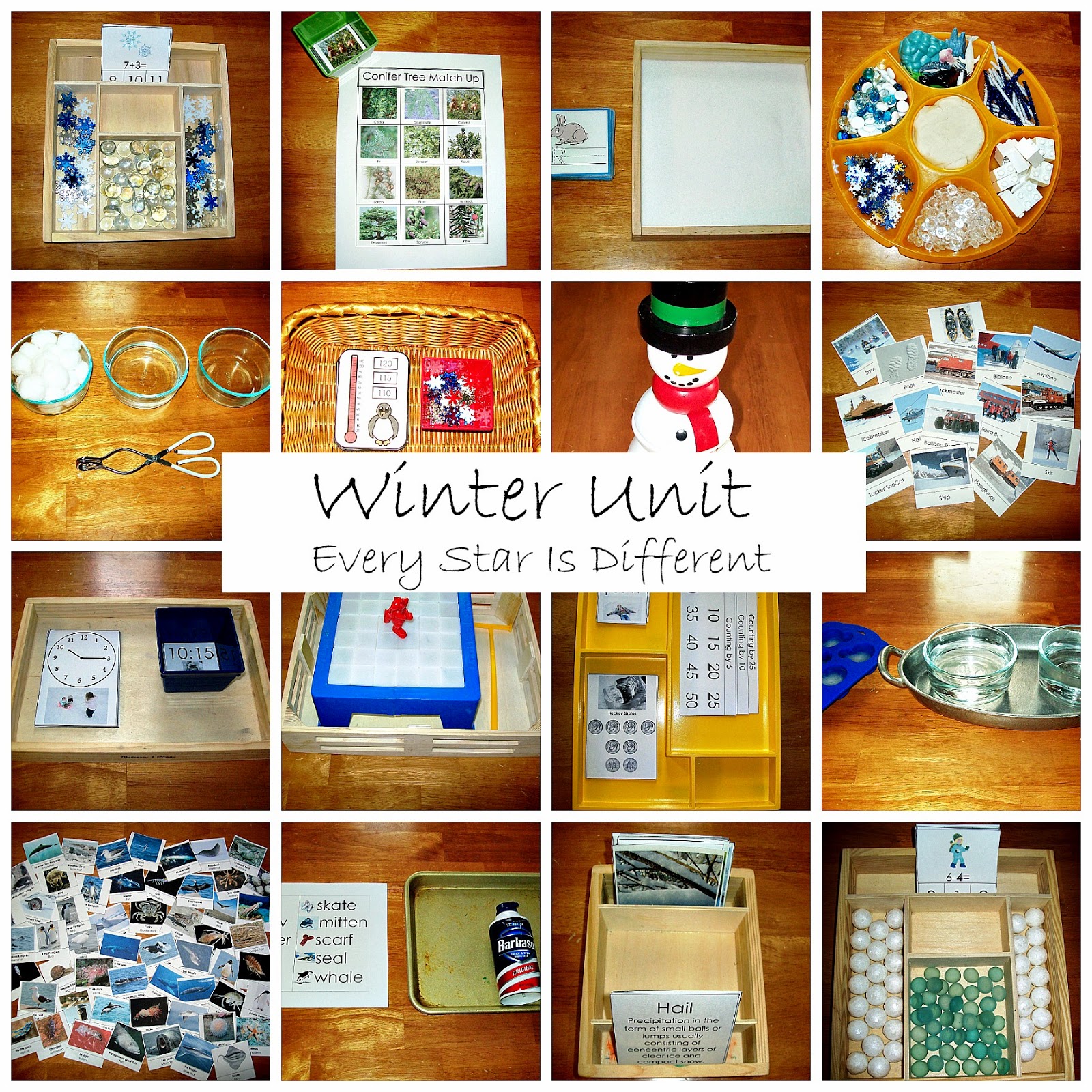 Christmas Unit: Winter