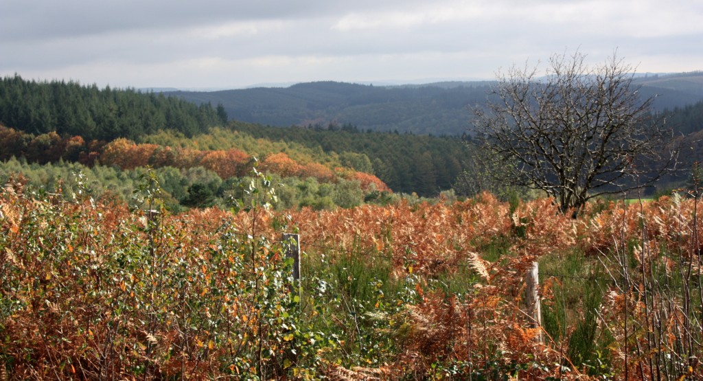 Parc naturel régional de Millevaches en Limousin Gites