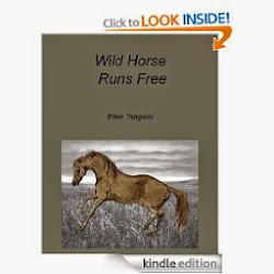 Wild Horse Runs Free