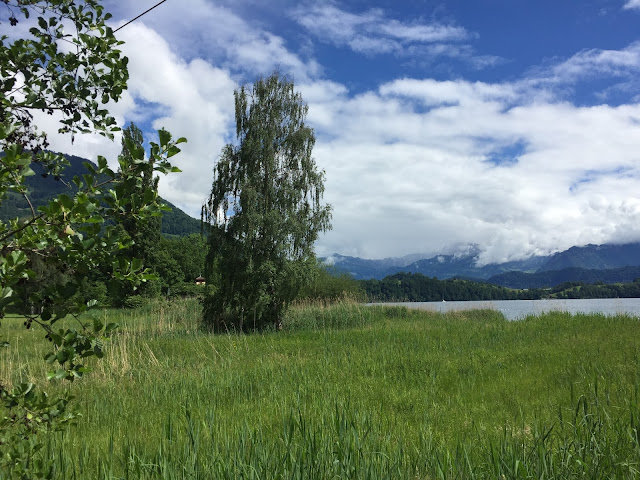 Aussicht Naturschutzgebiet Schilf und See