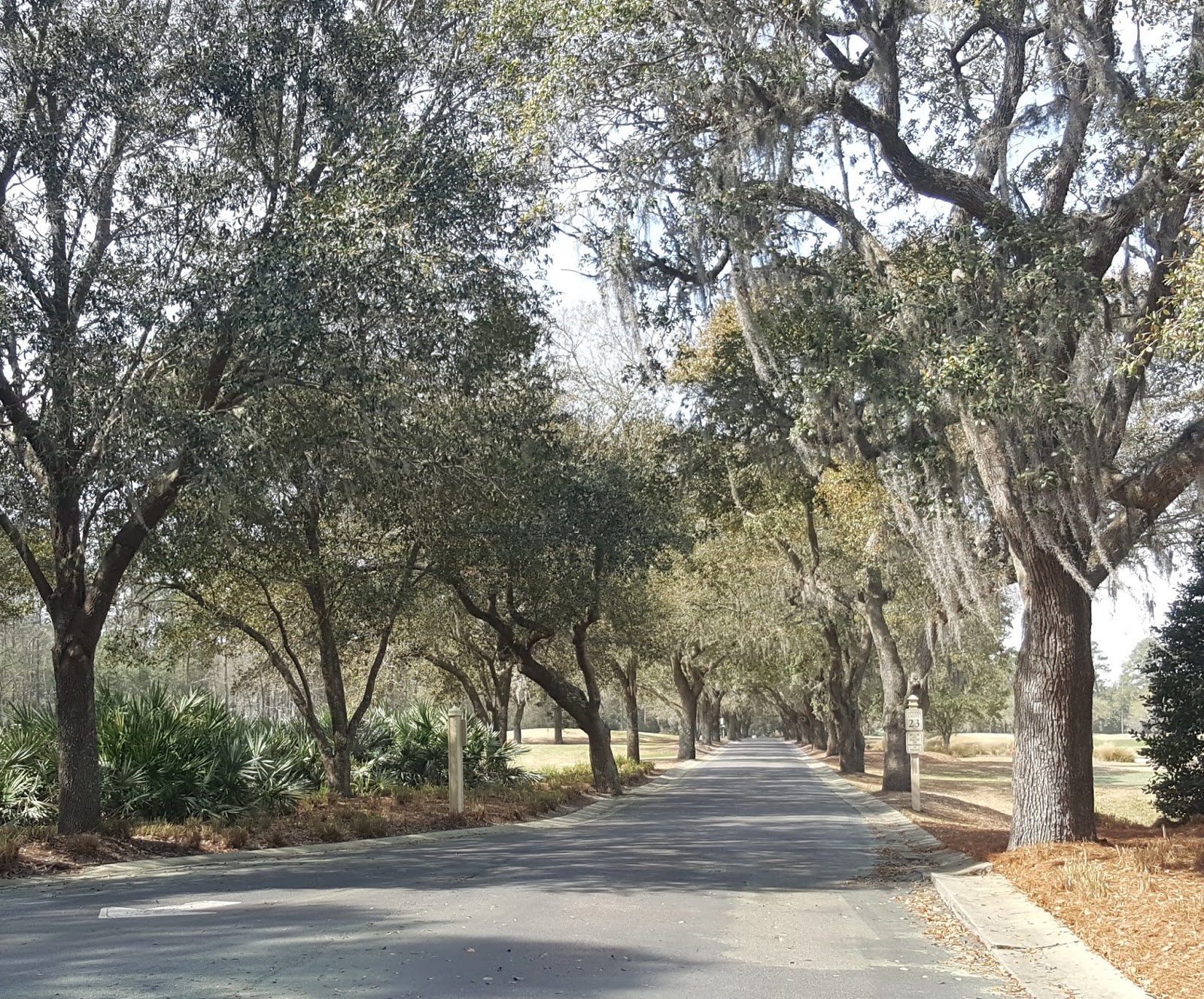 Golf for Beginners Should Beginners Attempt to Play Caledonia Golf Course?