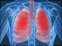 pulmon.jpg