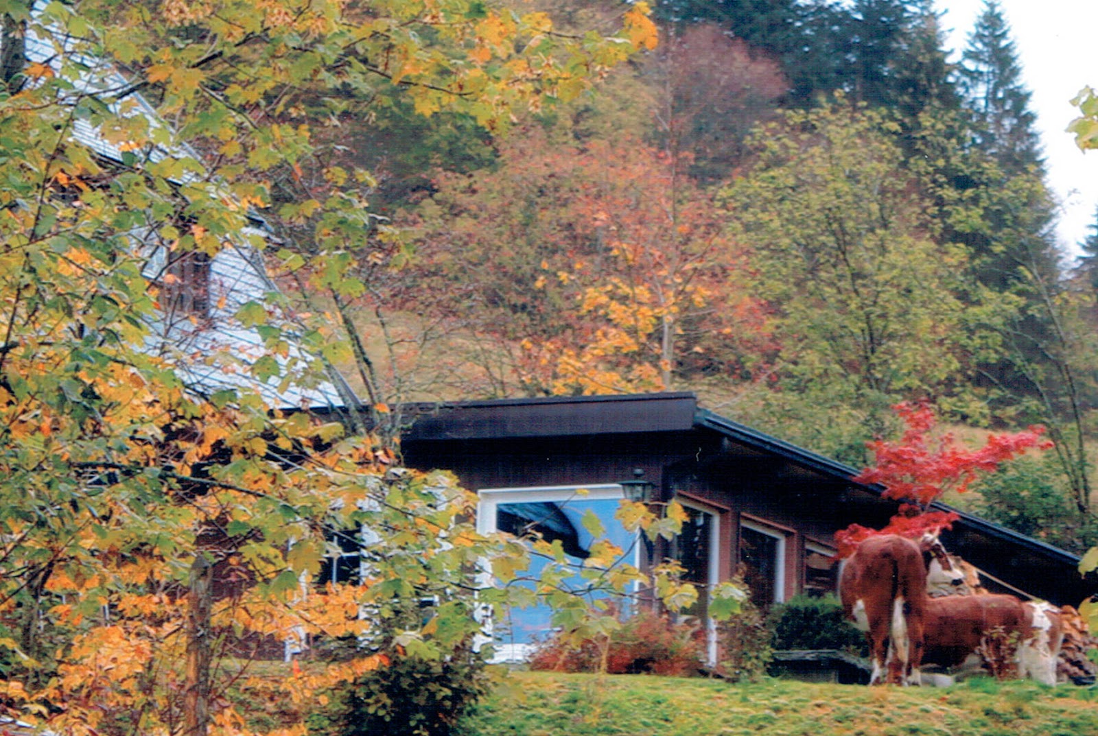 Leben Und Gehen Wie Ein Alter Weisser Mann Stutzen Der Gesellschaft