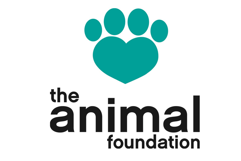Pets-N-More: The Animal Foundation of Las Vegas