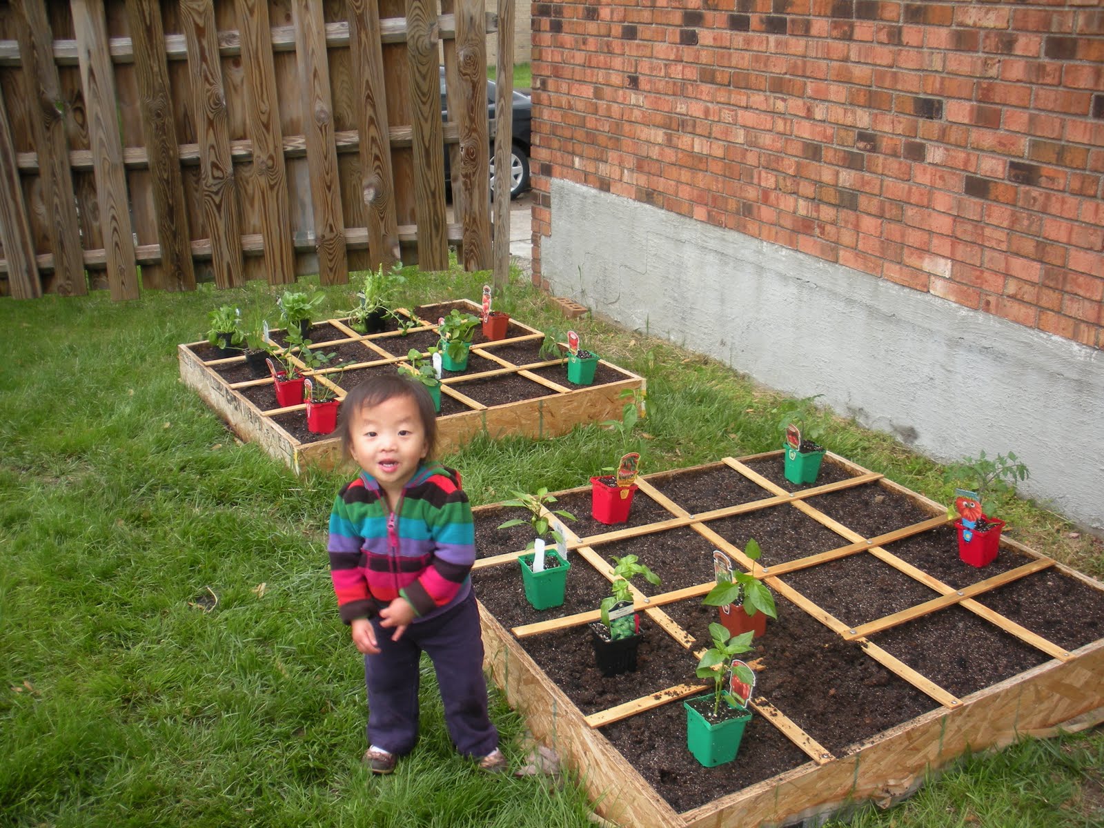 Life with Lucy: May 2011