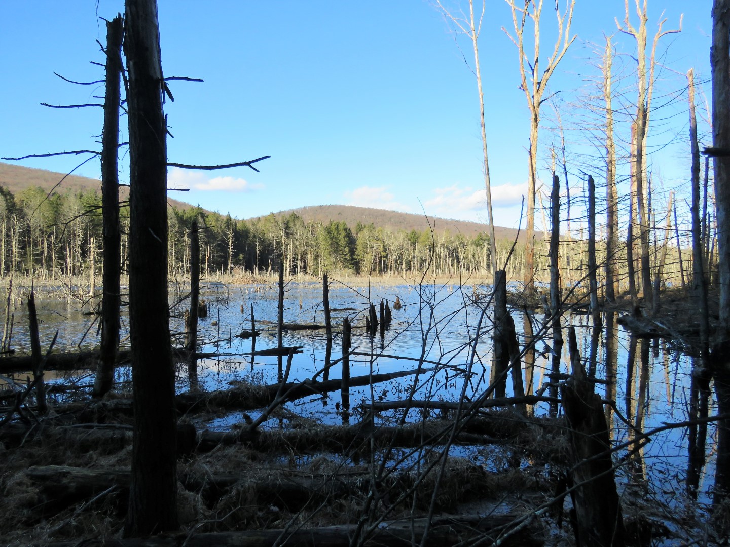 Gone Hikin State Game Lands 211 Pa - Rausch Gap Places To Visit Natural Landmarks Visiting