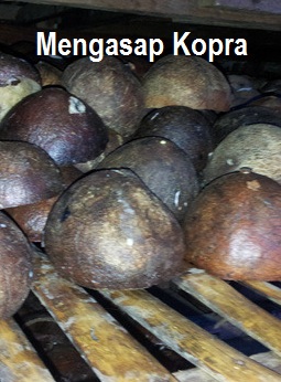 Anim Agro Technology KOPRA APA DIA?