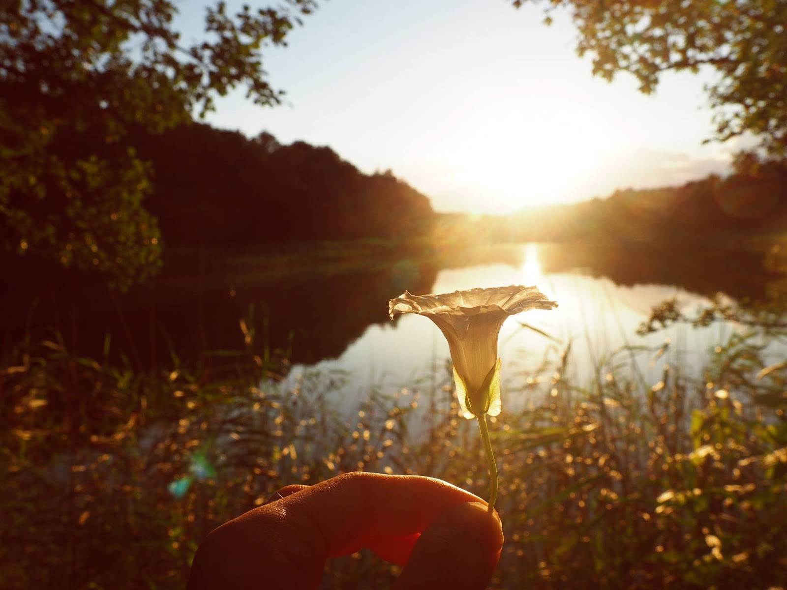 Personlicher Jahresruckblick Liebe In Worten Bildern Und Songs