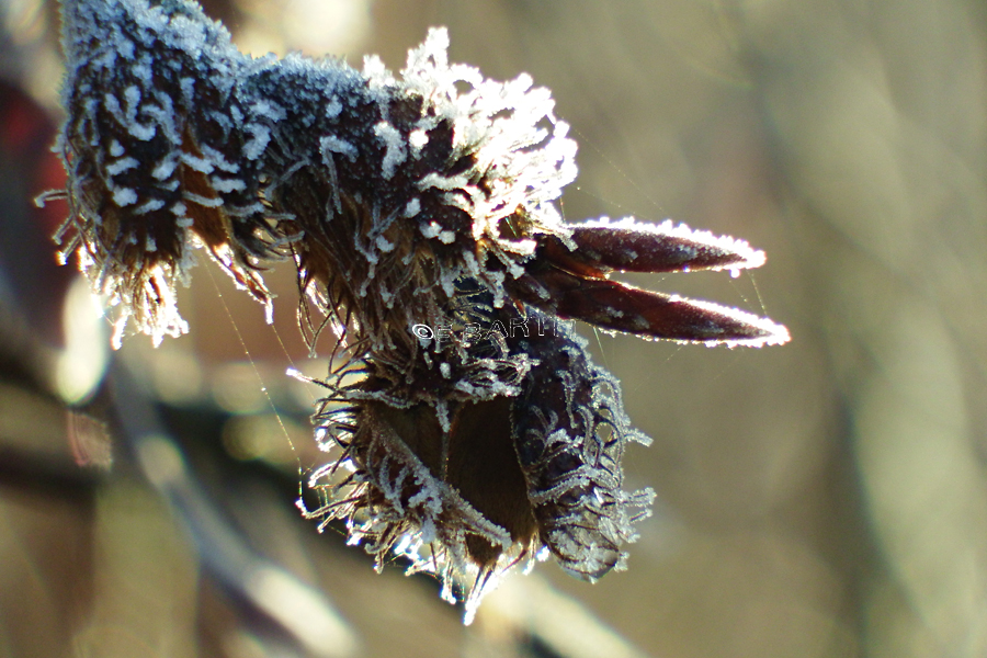 Hansevalley Hansestatement 205 Seiten Hamburg Analog Oder Warum