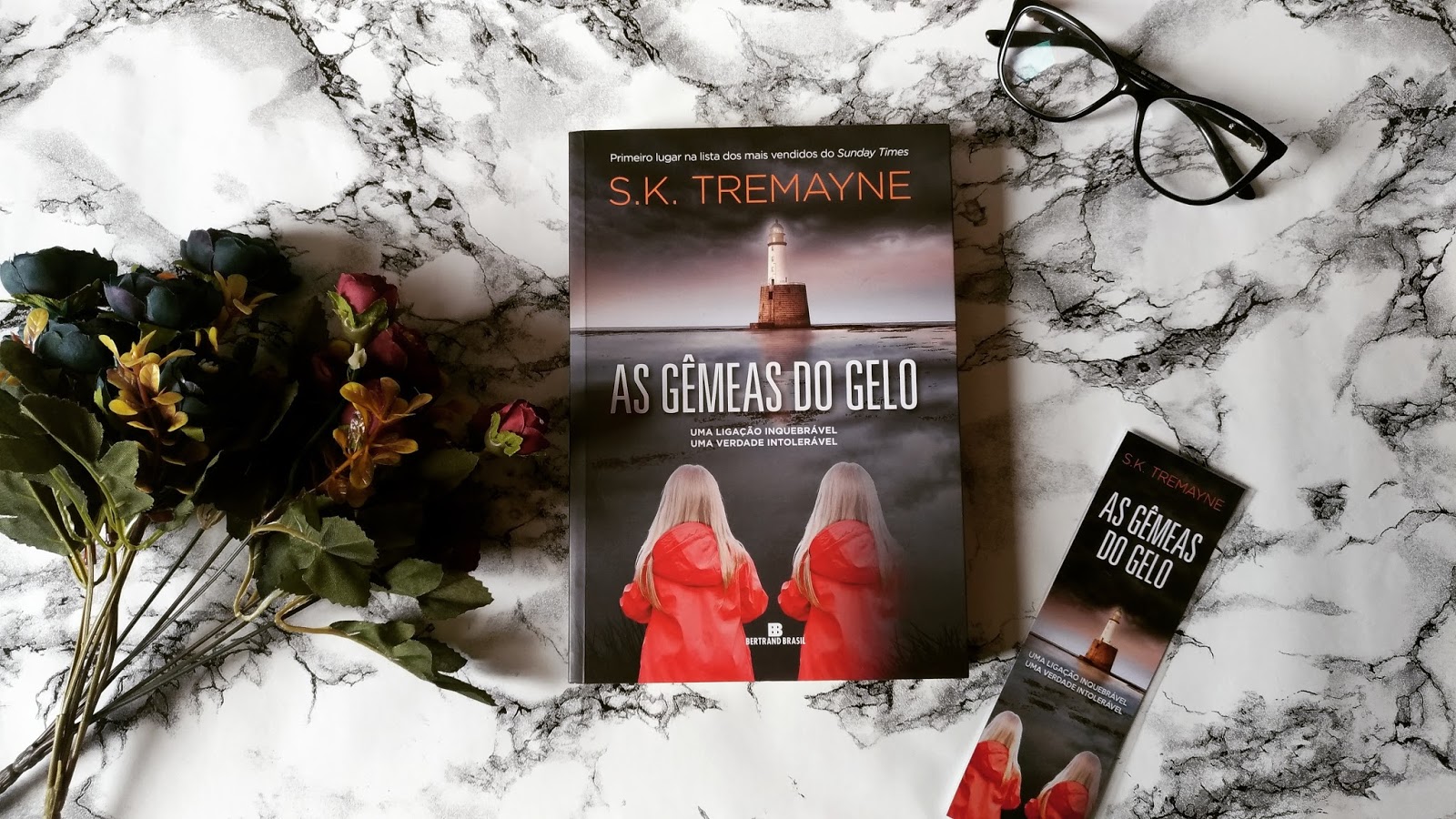 As Gêmeas do Gelo S.K. Tremayne