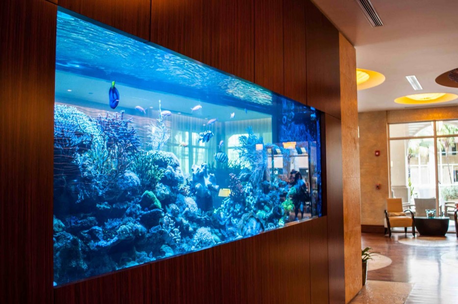 Design Rumah  Idaman 10 Top Design Aquarium  Dinding