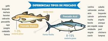 Clasificacion de pescados azules y blancos
