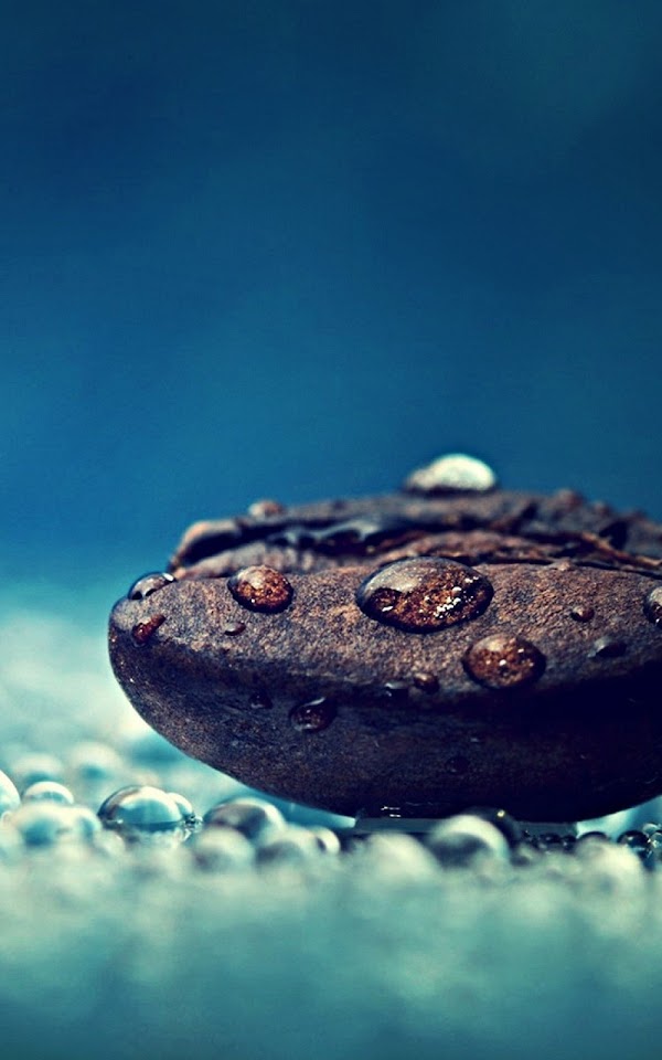 Macro Close Up Coffee Bean Dew  Android Best Wallpaper