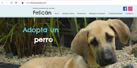 Visita nuestra Web: felicanubeda.com