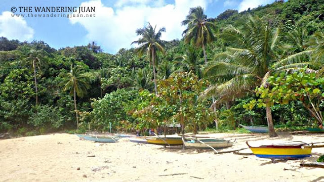 beach in Catanduanes