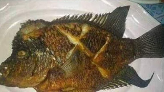 Suruh Pembantu Goreng Ikan Segar, Majikan ini Benar-Benar Kaget Saat Ikan Disajikan Suruh Pembantu Goreng Ikan Segar, Majikan ini Benar-Benar Kaget Saat Ikan Disajikan