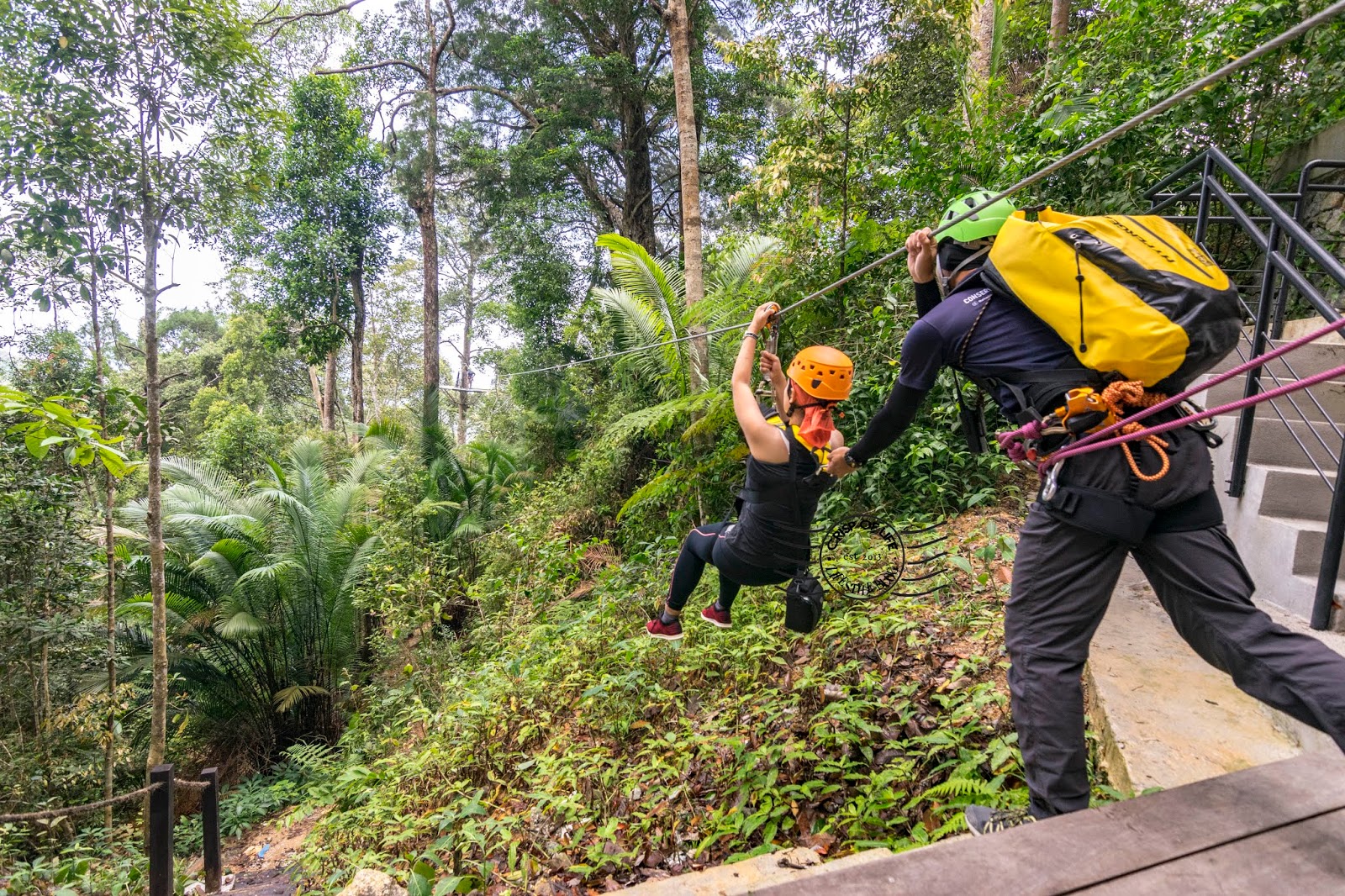 Challenge Yourself Zipping Across Penang Highest Rainforest @ The Habitat Penang Hill 