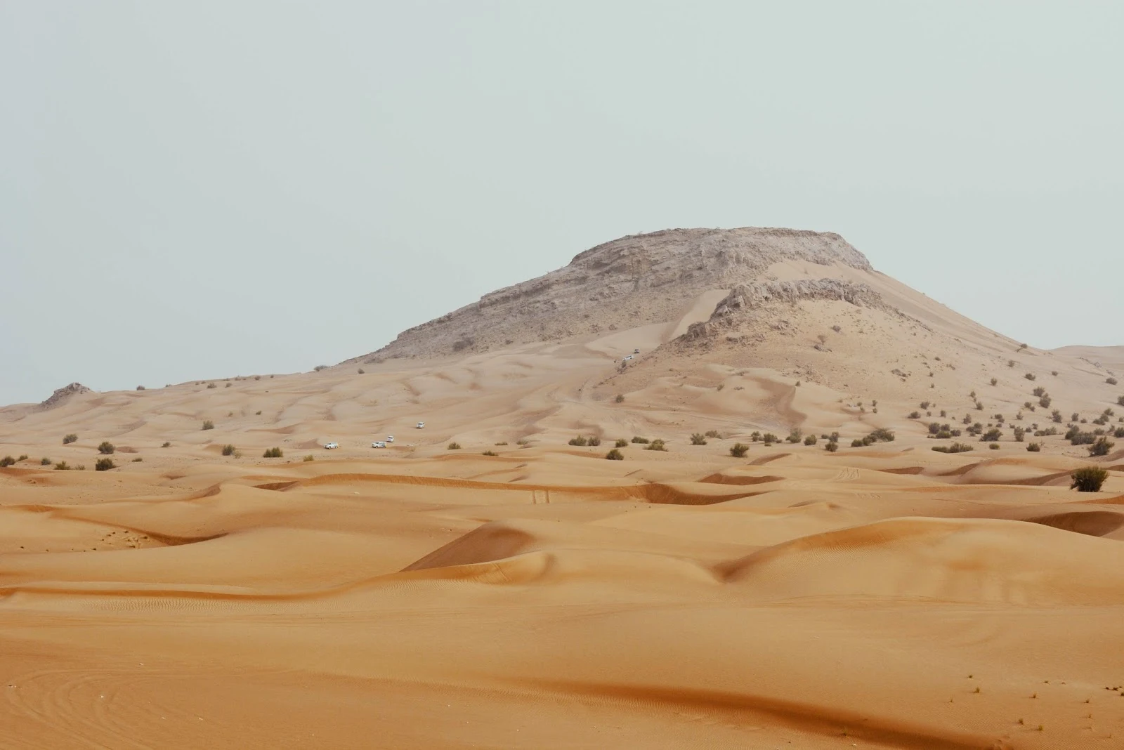 Dubai Desert Safari Experience