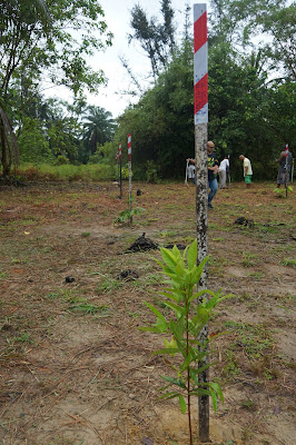 Area Tree Planting Borneo Jazz Festival 2016 Area Tree Planting Borneo Jazz Festival 2016