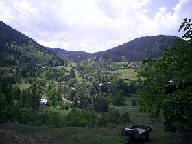 08 Artvin Savsat