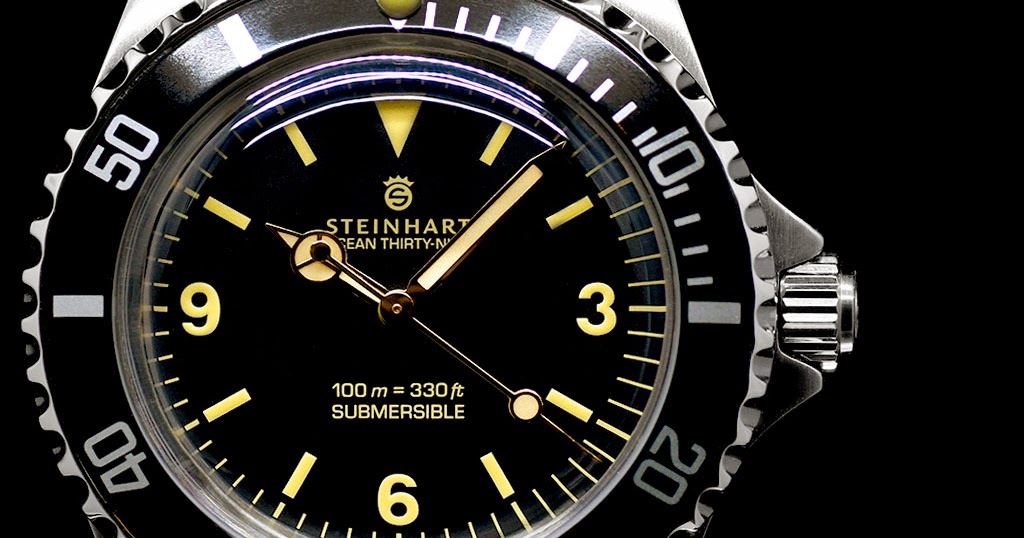 steinhart ocean 39 explorer review