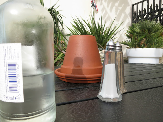 Table in pub garden with salt, pepper, flower pot and water.